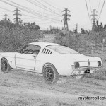 65bwmustang 1-1
